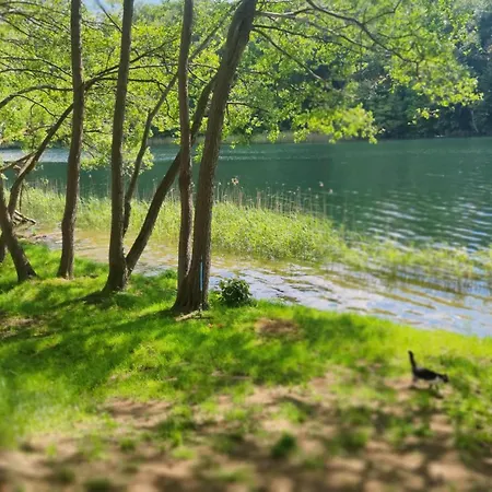 Nad Jeziorem - Cisza I Natura Piotiwo D3