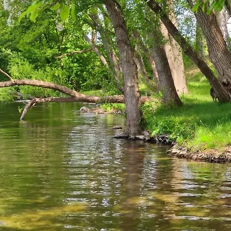 Nad Jeziorem - Cisza I Natura Piotiwo D3